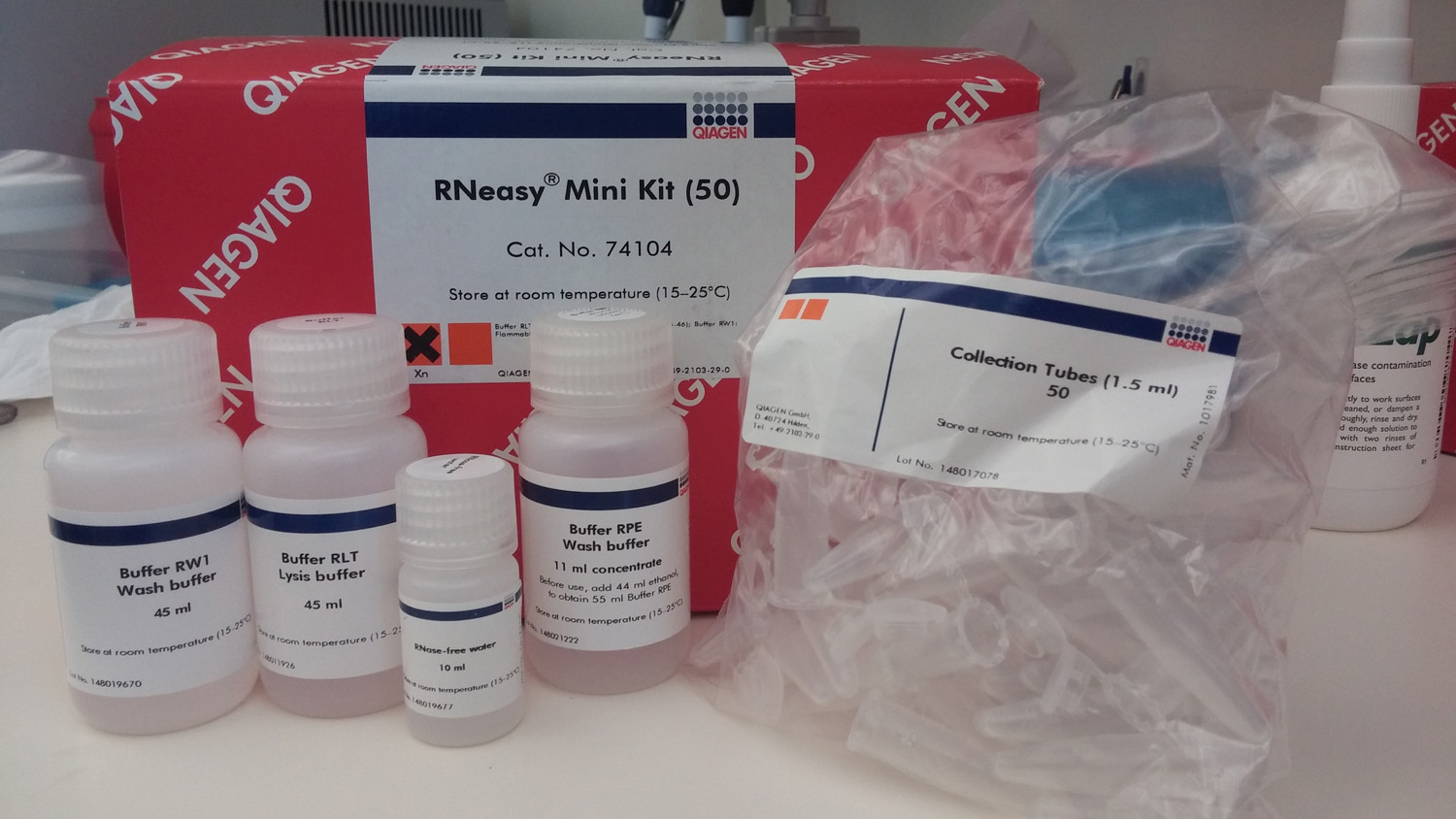 Qiagen rneasy kit pdf reader
